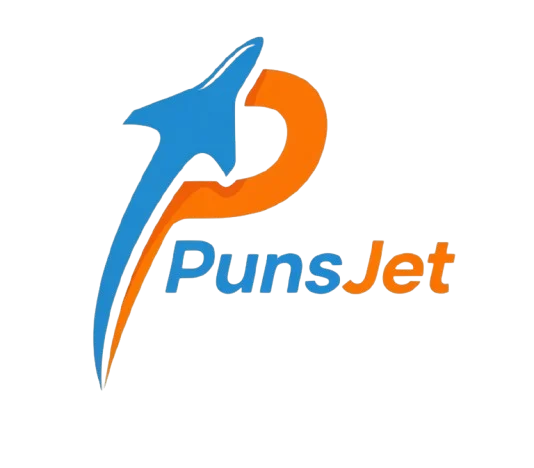 punsjet.com