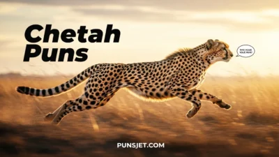 Cheetah Puns