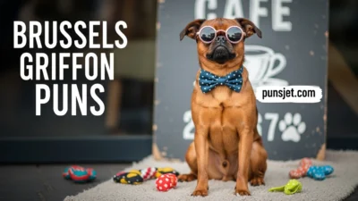 Brussels Griffon Puns