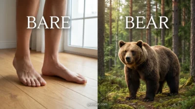 Bare and Bear